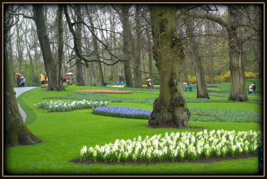Keukenhof on a Wet Day
