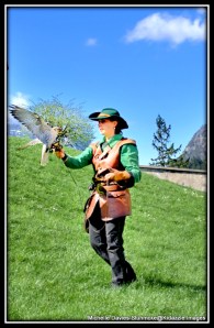 Falconry 2