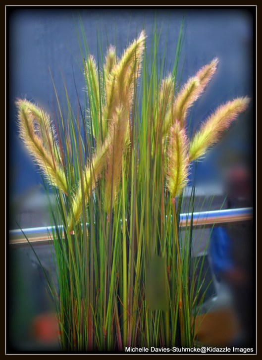 Greenery on Viking Tor