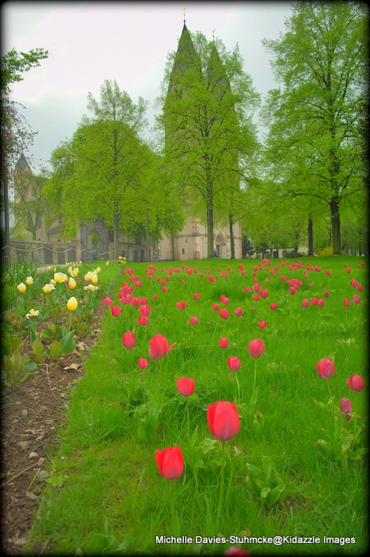 Tulips at a church near the German Corner Koblenz 