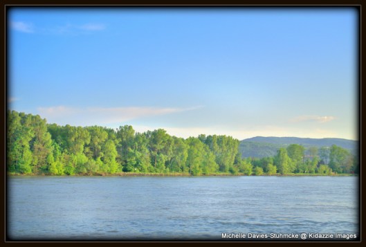 Emerald Green Wachau Valley, Austria.