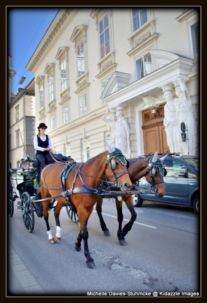 More of Vienna's beautiful horses.