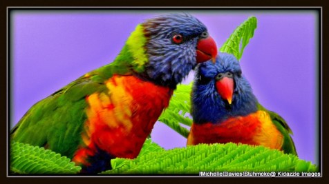 1-Billy and Lilly 7-001