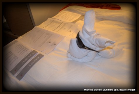 Stateroom, Day 13, a small visitor, Budapest, Hungary. Stateroom, Day 13, a small visitor, Budapest, Hungary.